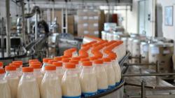 Анализ эффективности производства и реализации молока в спк 